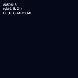 #050818 - Blue Charcoal Color Image